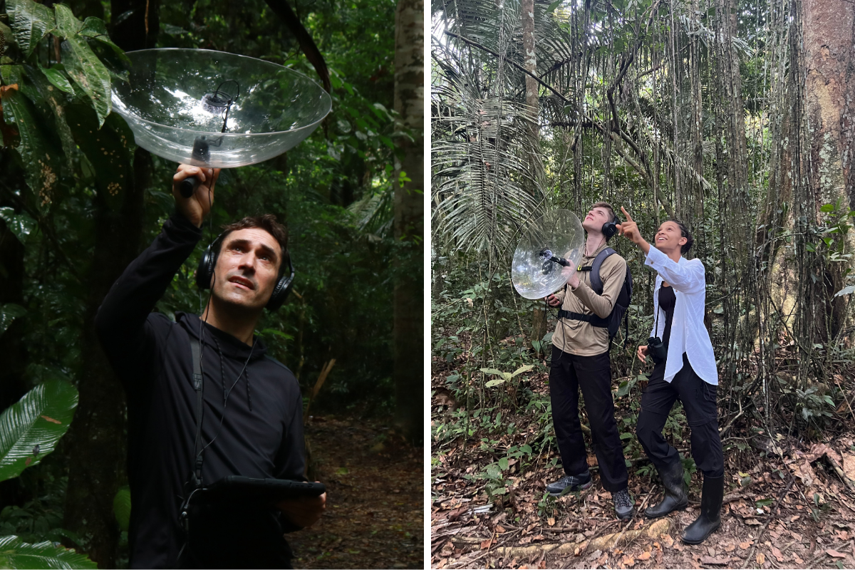 People in rainforest